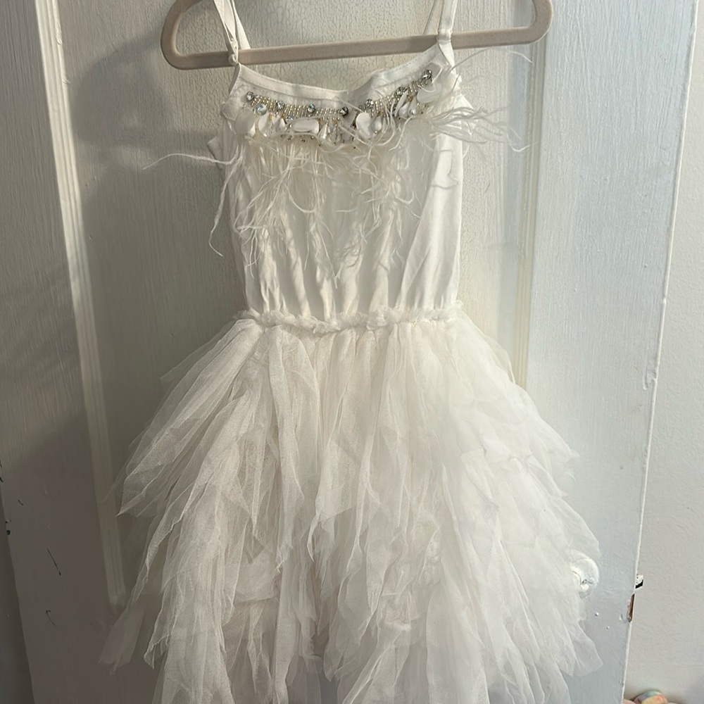 Swan Lake dress